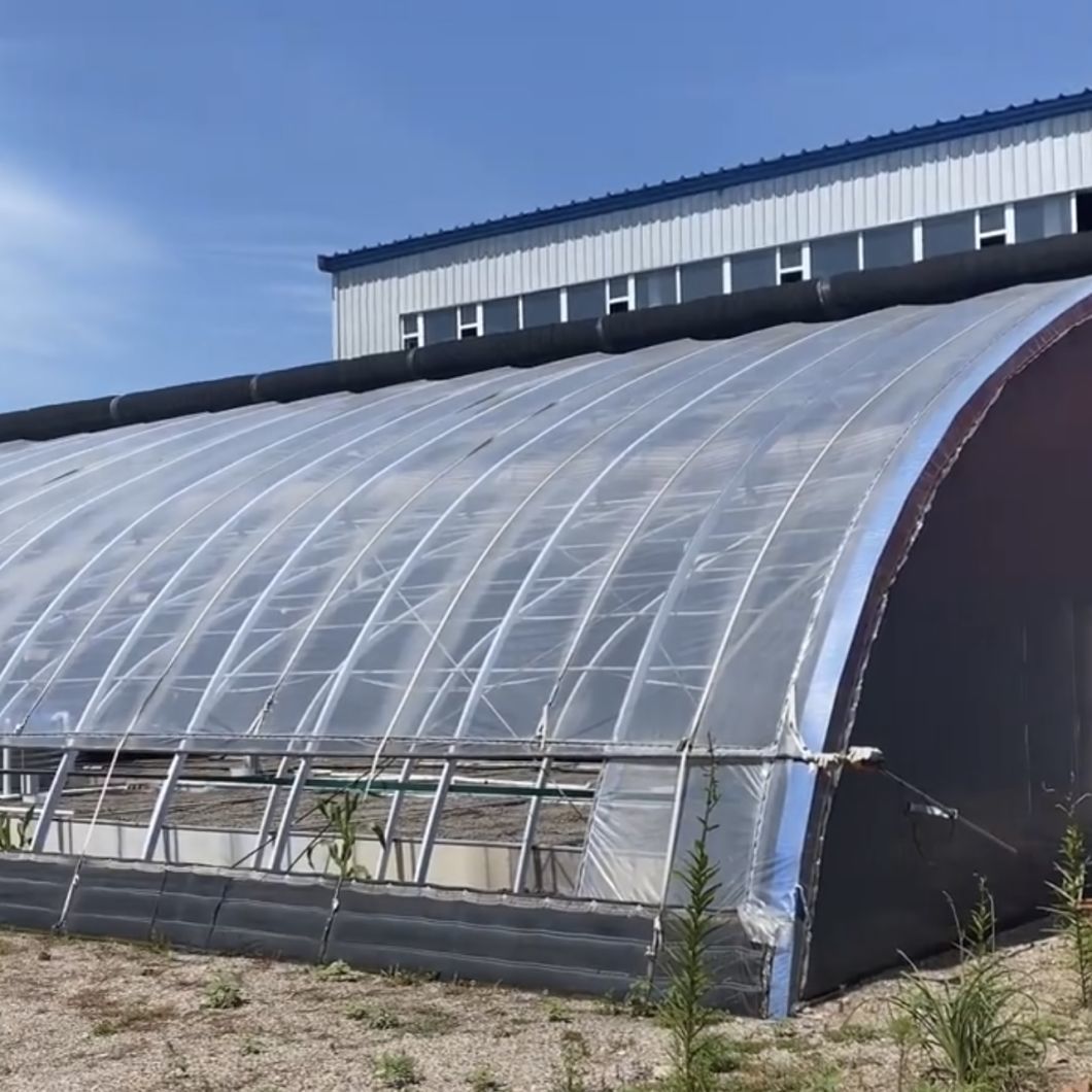 Aquaponics Sunlight Sparay Irrigation Greenhouse