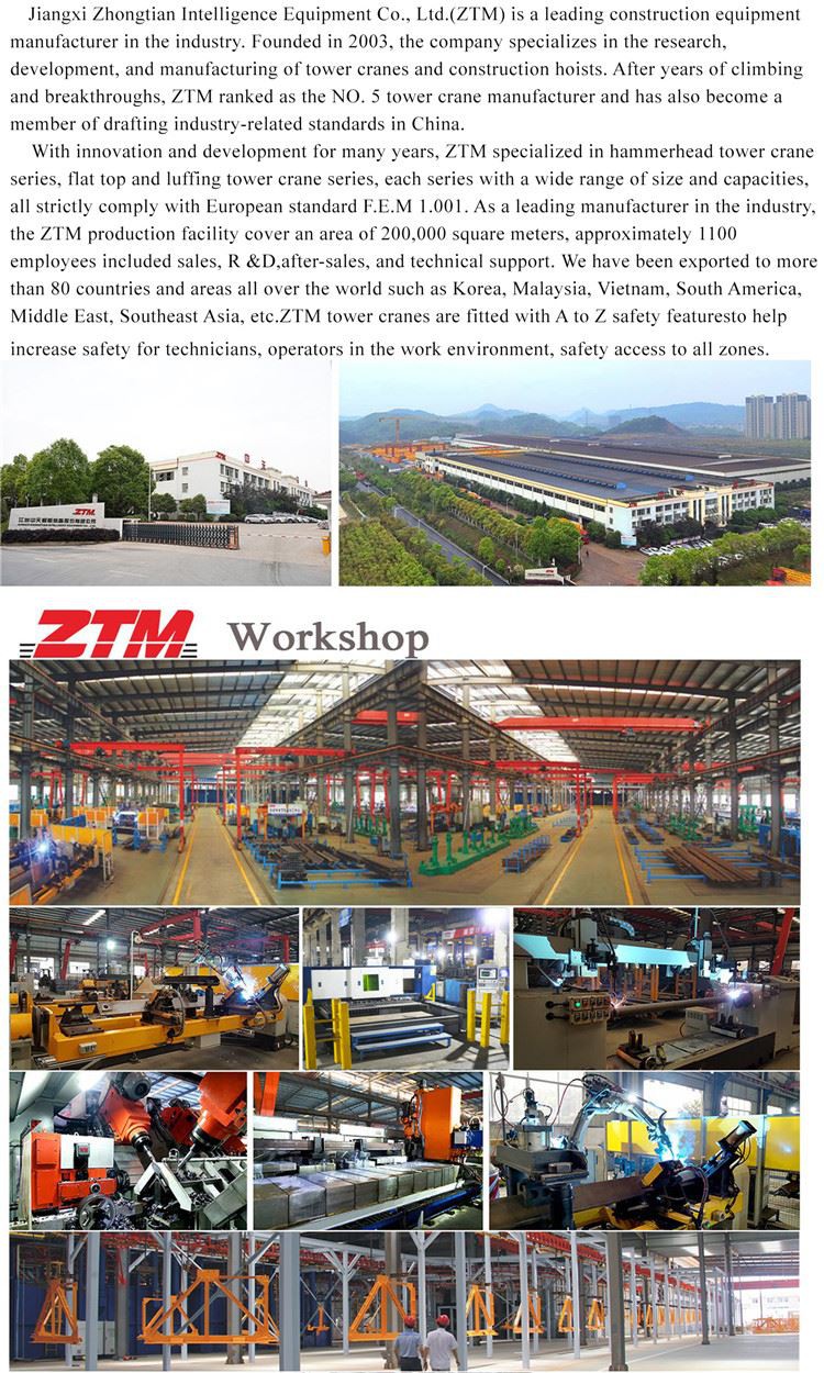 5.About ZTM company