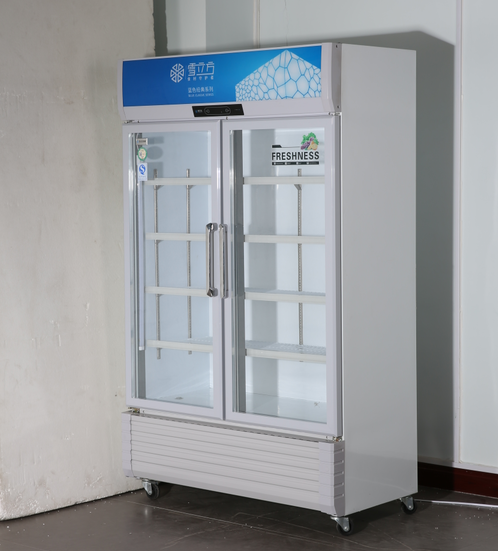 Double glass doors Economic display type refrigerate and preserve freshness beer cabinet for drinks 0