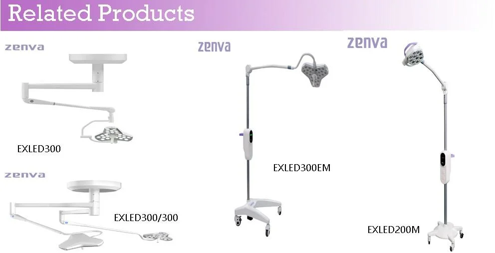 Double Arm Lamp Hospital Medical Operation Double Dome Surgical Shadowless LED Light