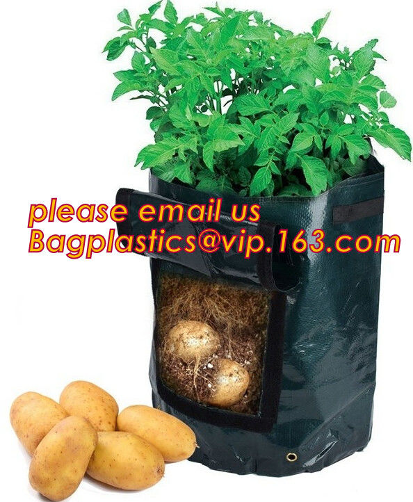 40 Gal Grow Biodegradable Garden Bags Aeration Fabric Pots Breathable With Handles
