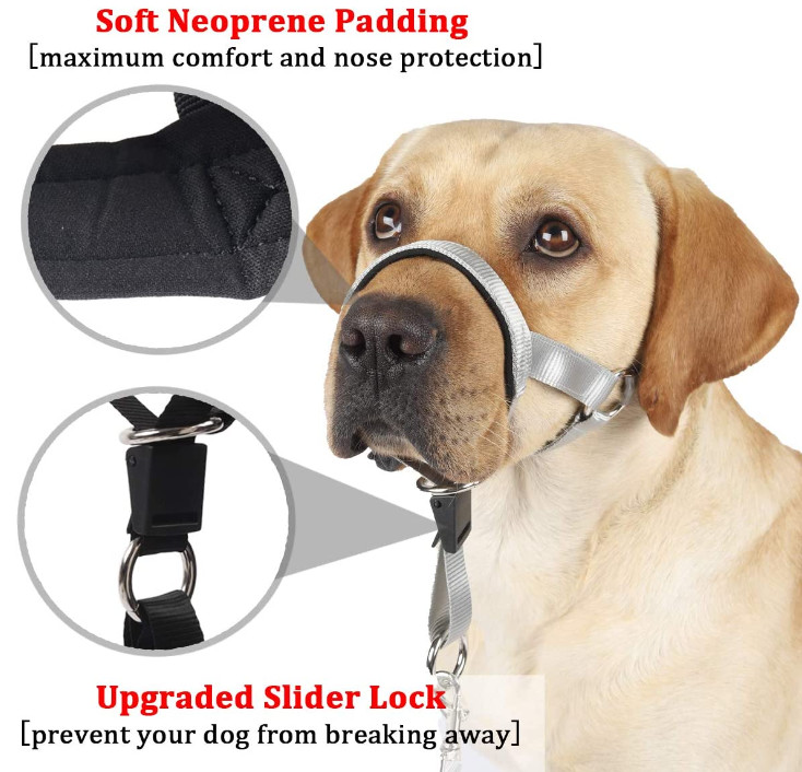 over the nose dog lead