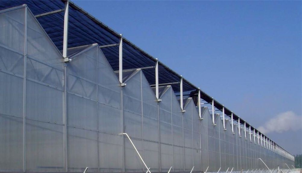 Venlo Hollow Double Layer Tempered Glass Greenhouse with Hydroponics Growing System