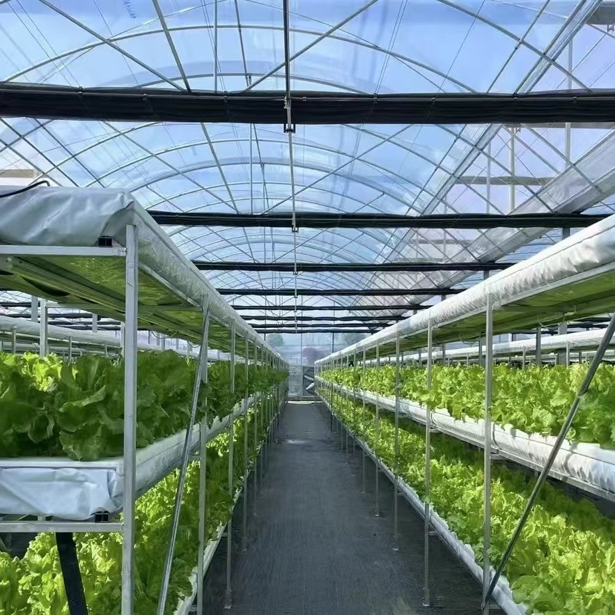 Multi-Span Greenhouse Efficient Hydroponics for Vegetable Production