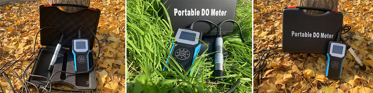 Dissolved oxygen meter for aquaculture
