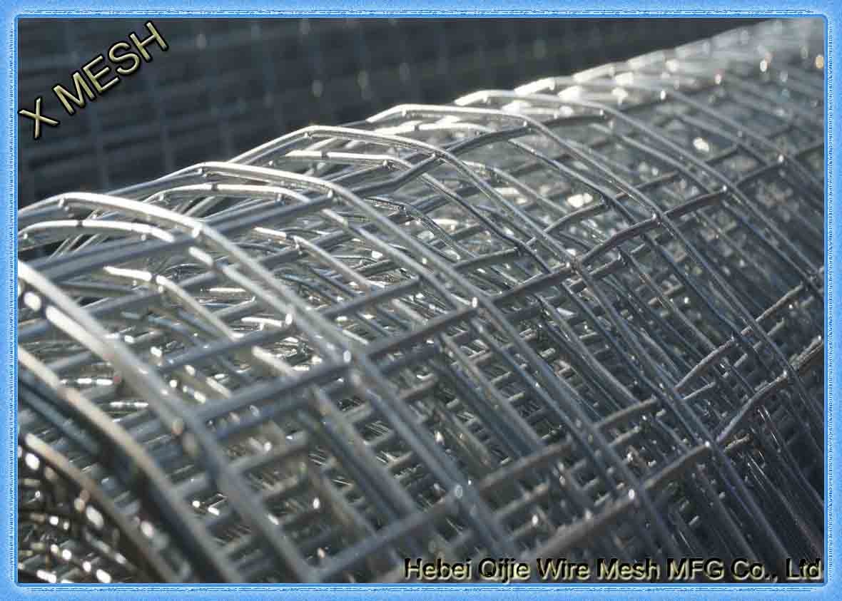 electro galvanized welded wire mesh rolls