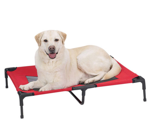 elevated dog beds