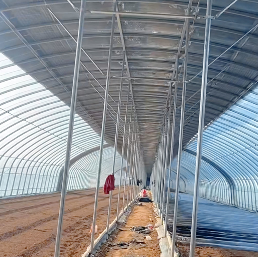 Tunnel Greenhouse for Agriculture and Vegetables