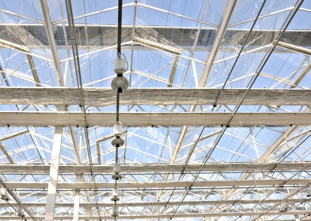 Juxiang&prime;s Anti-Drip Fogging Structure for Seedlings
