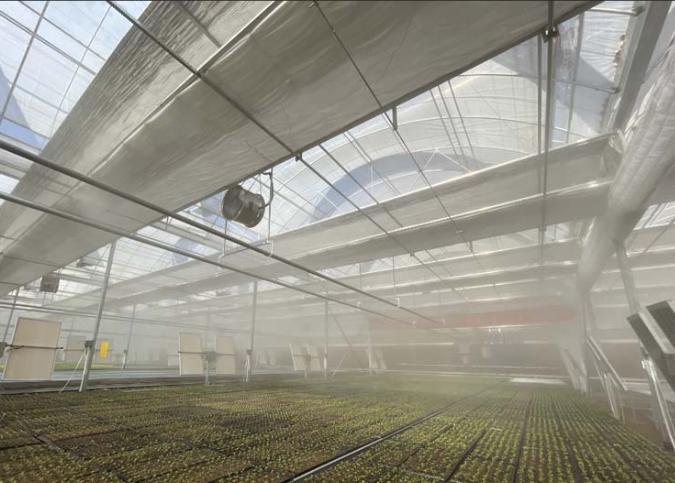 Wet Curtain Hydroponic Seedling Greenhouse