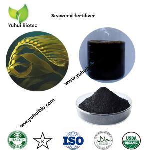 China best seaweed fertilizer,liquid kelp organic seaweed fertilizer, seaweed base fertilizer on sale 