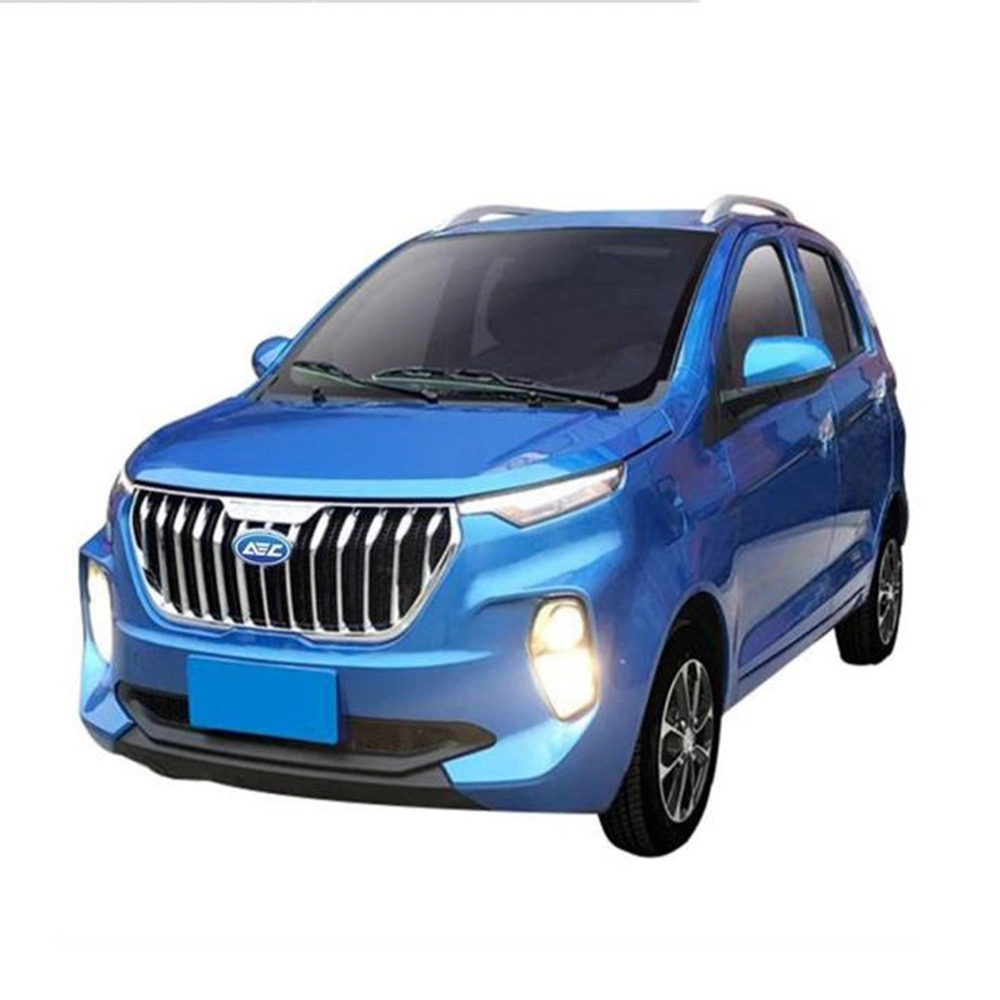 China Raysince Factory Hot Sales Model Cars Electric Sedan Four Seat Five Door New Energy Mini Electric Car for Adults