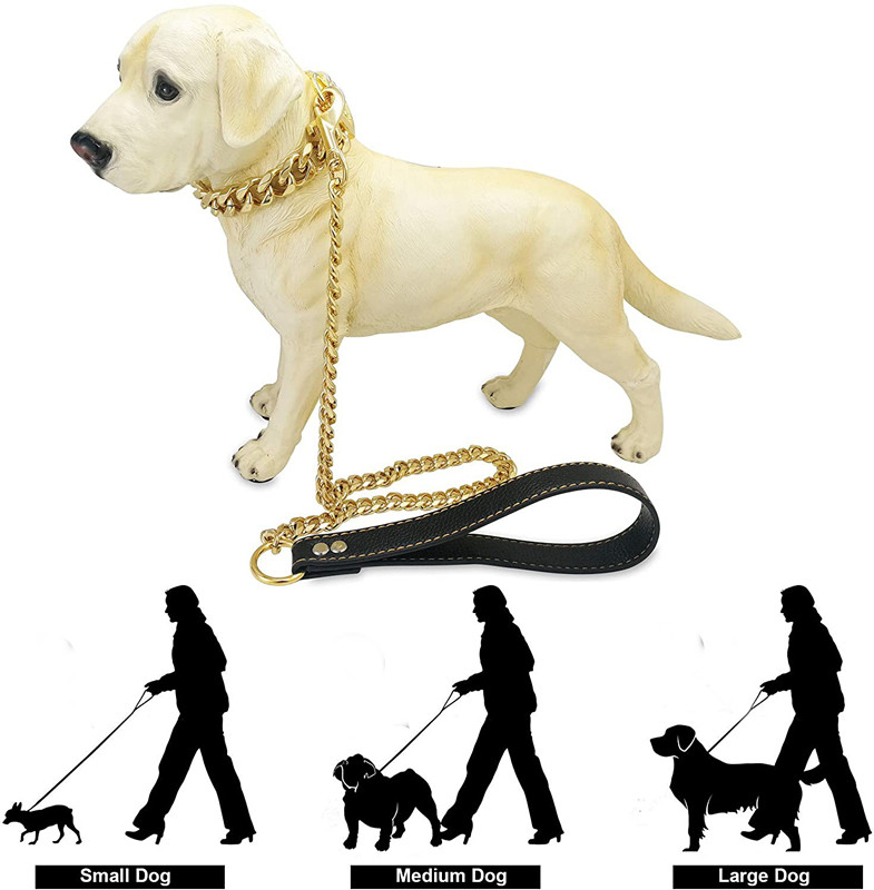gold chain dog leash