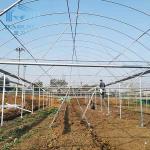 Plastic Film Exhaust Fan Low Tunnel Greenhouse Frame For Strawberry