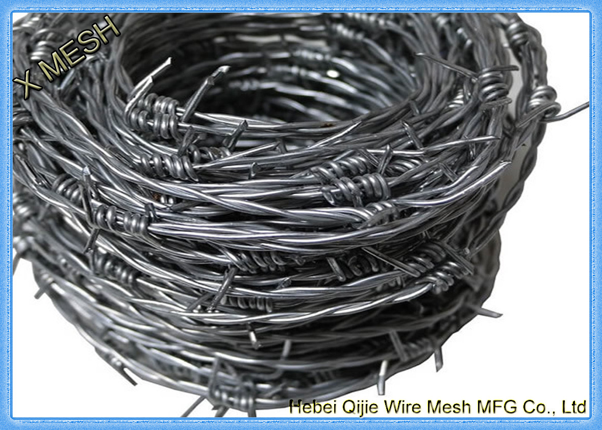 galvanized barbed wire-GBW001