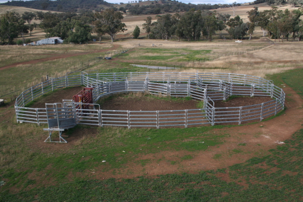 Cattle Corral Panles for Australia
