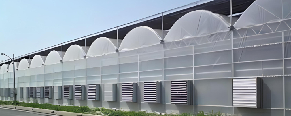 Customizable Film Greenhouse for Vegetable Farming