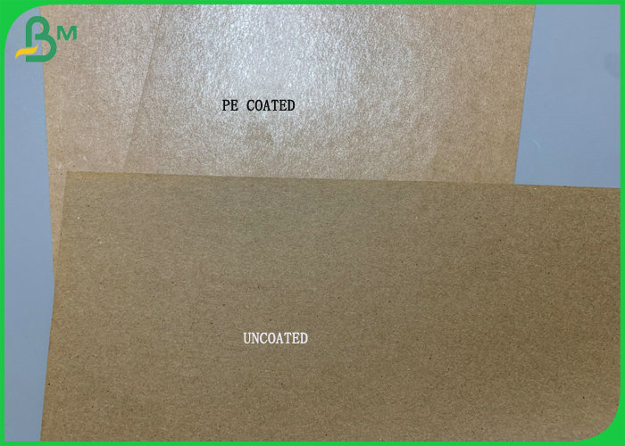 One Side15g Good Grade PE Coated Brown Kraft Paper For Salad Bowl Disposable