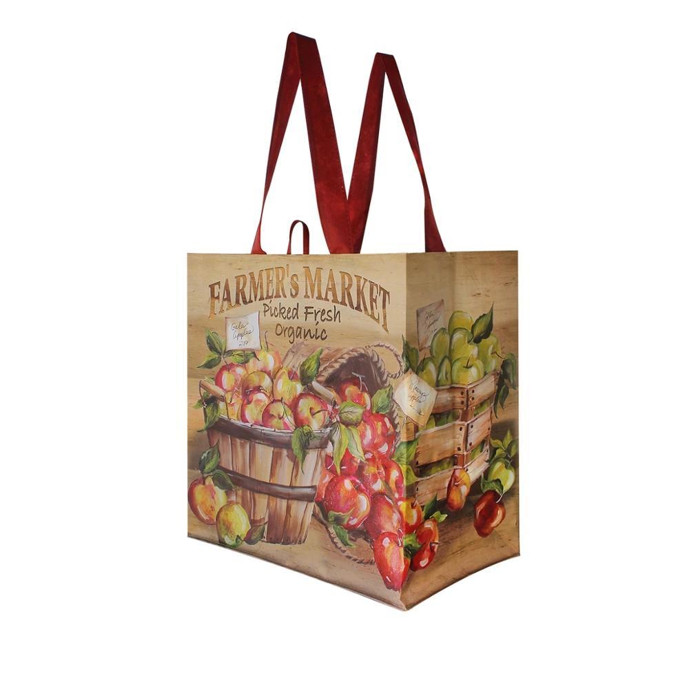 Friendly Reusable Grocery Recycled Ecobag PP Nonwoven Bags Laminated Non Woven Fabric Carry Shopping Bag with Custom Print Logo