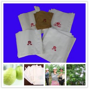 China Protection bag for guava Skype yu.zhang951 on sale 