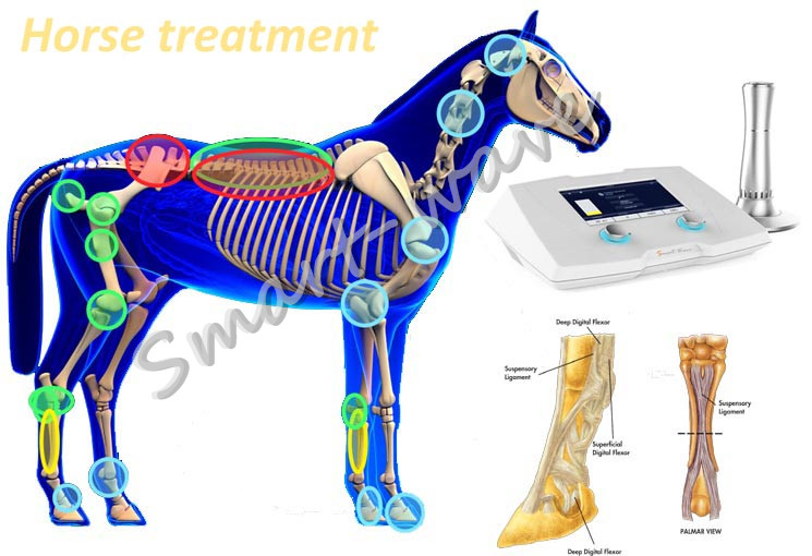 High energy shock wave therapy machine veterinary shock wave therapy machine for racehorse