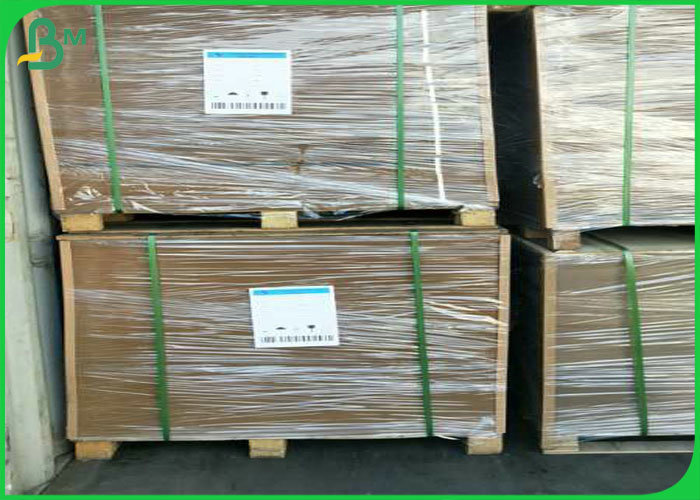 Jumbo Roll 50gsm to 400gsm Recycled Paper Bolsa De Papel Kraft for Box or bags