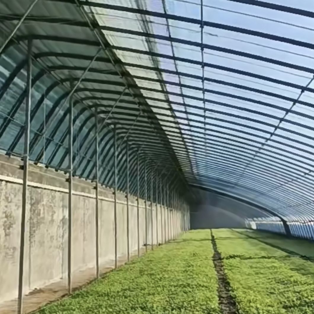 Flower Planting Sunlight Greenhouse