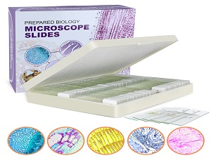 100Pcs Microscope Slides with Specimens