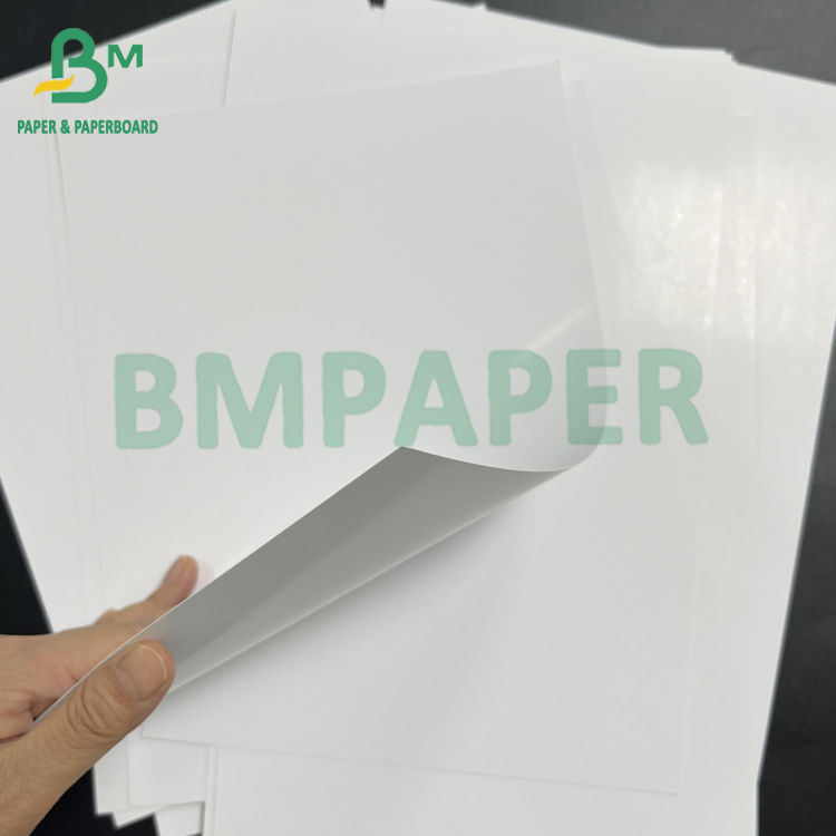 Recylable 300gsm White Double Side Coated Glossy C2S Art Paper