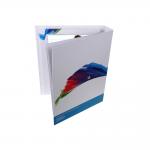 Electronic digital video folder brochure in printing with LCD Screen