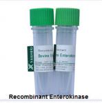 Enterokinase de recombinaison, exprimé en E.coli, Enterokinase de recombinaison, origine animale libre, fournisseur