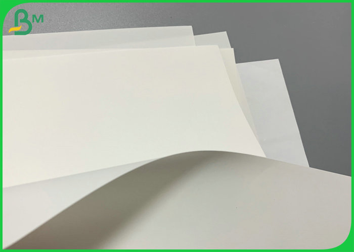 Tear Resistant 240g 300g Stone Paper 787mm For Durable Shipping Bag