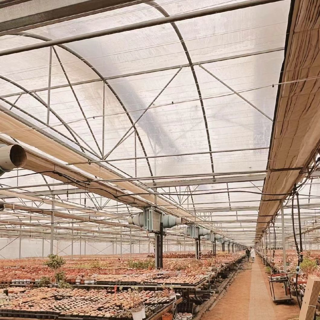 High-Quality Cocopeat Soil Greenhouse for Vegetable Growing