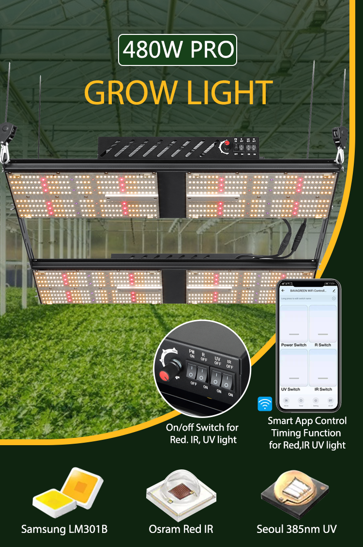 HPS CMH replacement 480w grow light bulb Samsung lm301b LED grow light for greenhouse 1
