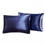 25mm 100 Pure Silk Pillowcase
