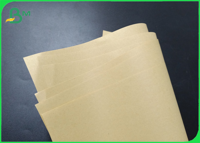 60g Recyclable Moisture Proof Brown Kraft Paper Bags Envelopes