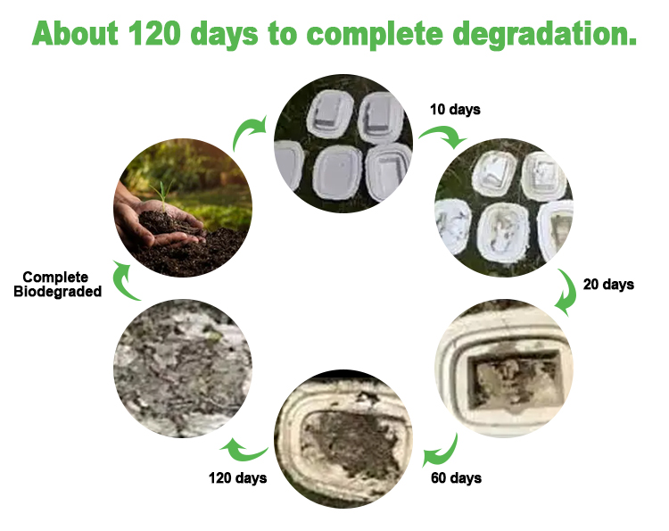 Molded Pulp Packaging can be degraded within 120 days.