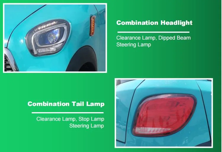 1. Hot Sell China Manufacture Electric Adult Raysince Rhd Mini Electric Car