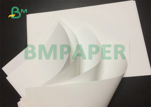 80gsm 100gsm 120gsm 640 x 900mm Matte Coated Double Sided Paper For Inkjet Printing 