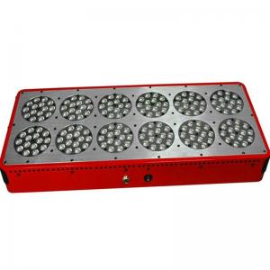 China Led Grow Boxes Lighting & Indoor Hydroponic Grow Systems Led Light Box System on sale 