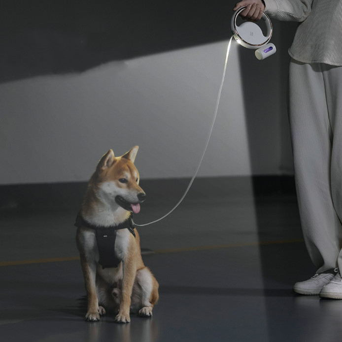 10ft/40ft retractable dog leash