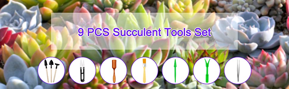 succulent tools set