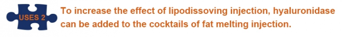 Hyaluronic Acid Lip Hyaluronidase Solution 10 Vials Dissolves 1