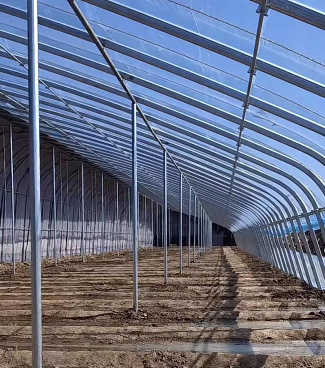 Flower Planting Drip Irrigation Vegetable Sunlight Greenhouse System