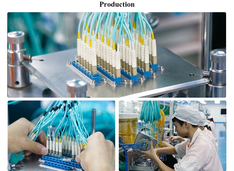 12 Core Single Mode MPO to LC Fiber Optic Cable from Adtek