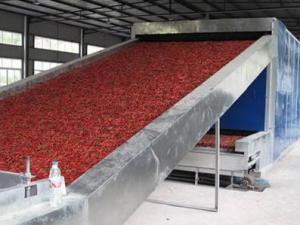 China What is the difference between natural air-dried chili and dried chili? on sale 