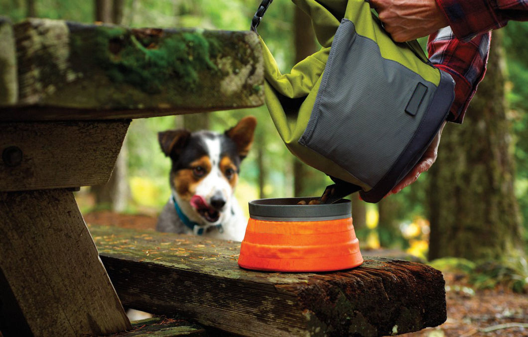 Travel Gift Set: Dog Food/Water Bowl & Dog Food Carrier for Camping Dog Gift Pet Present