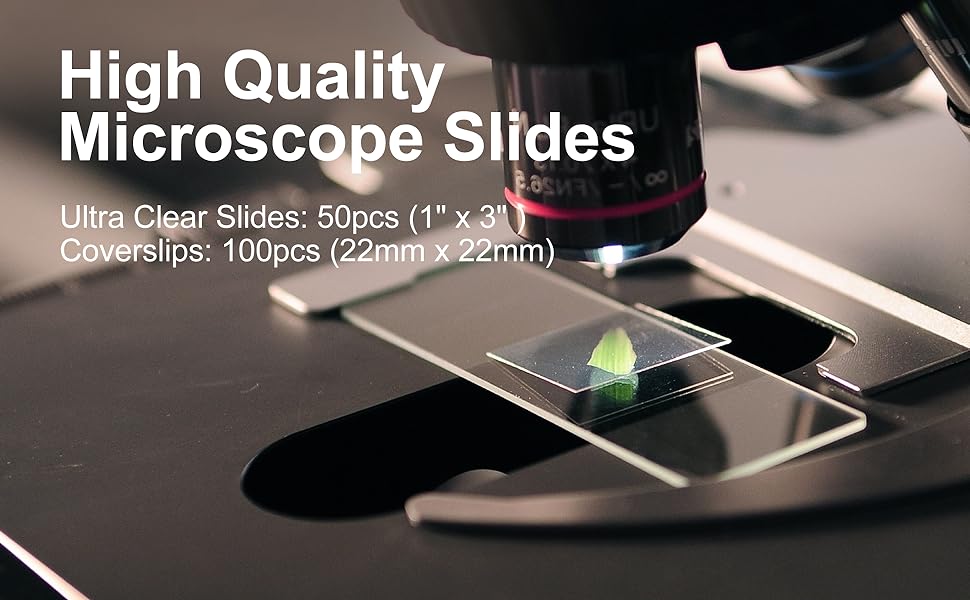 Microscope Slides And Covers