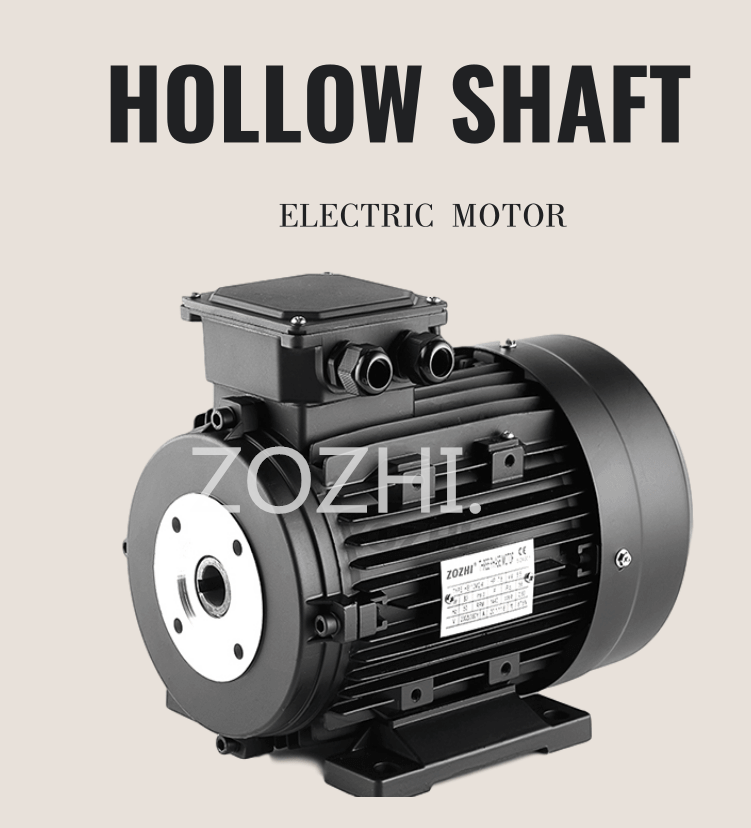 hollow shaft motor