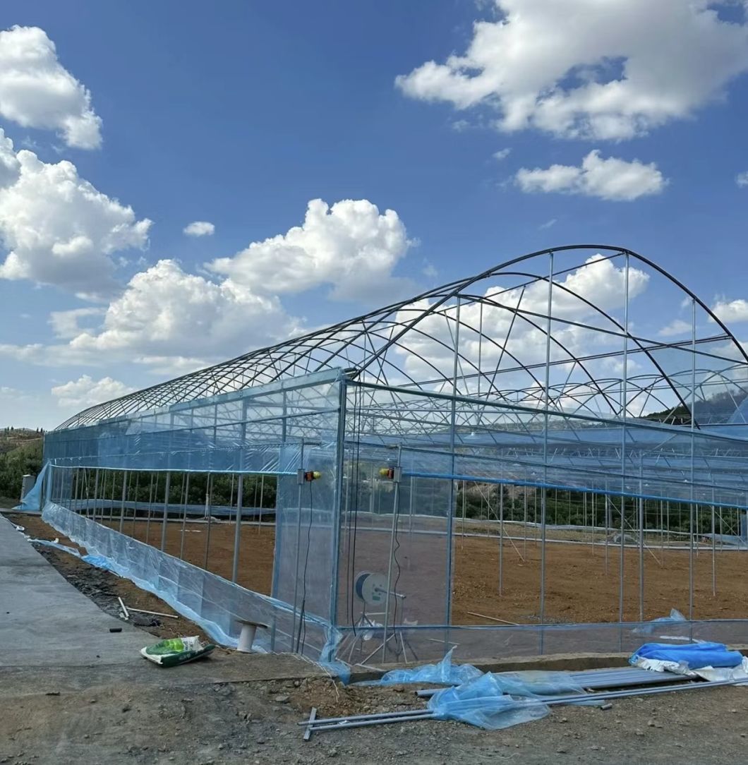 Innovative Multi-Span Film Greenhouse for Vertical Farming